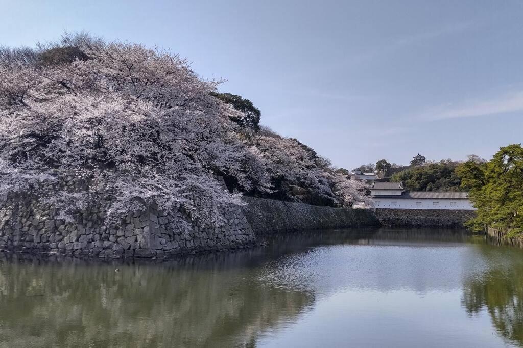 Villa Hikone Castle מראה חיצוני תמונה